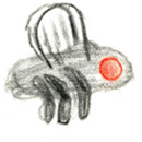 fly_logo